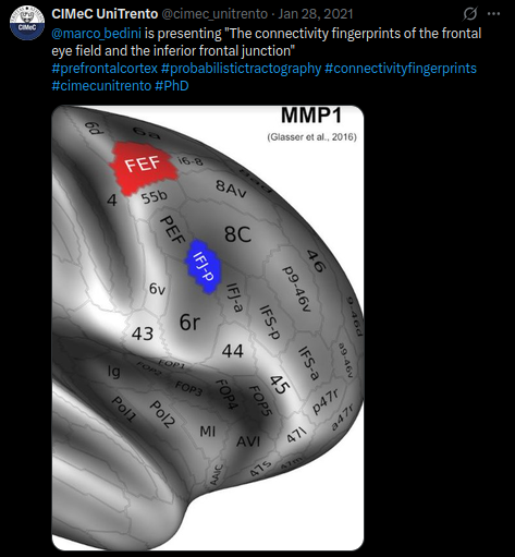 Selected talk: The connectivity fingerprints of the Frontal Eye Field and the Inferior Frontal Junction