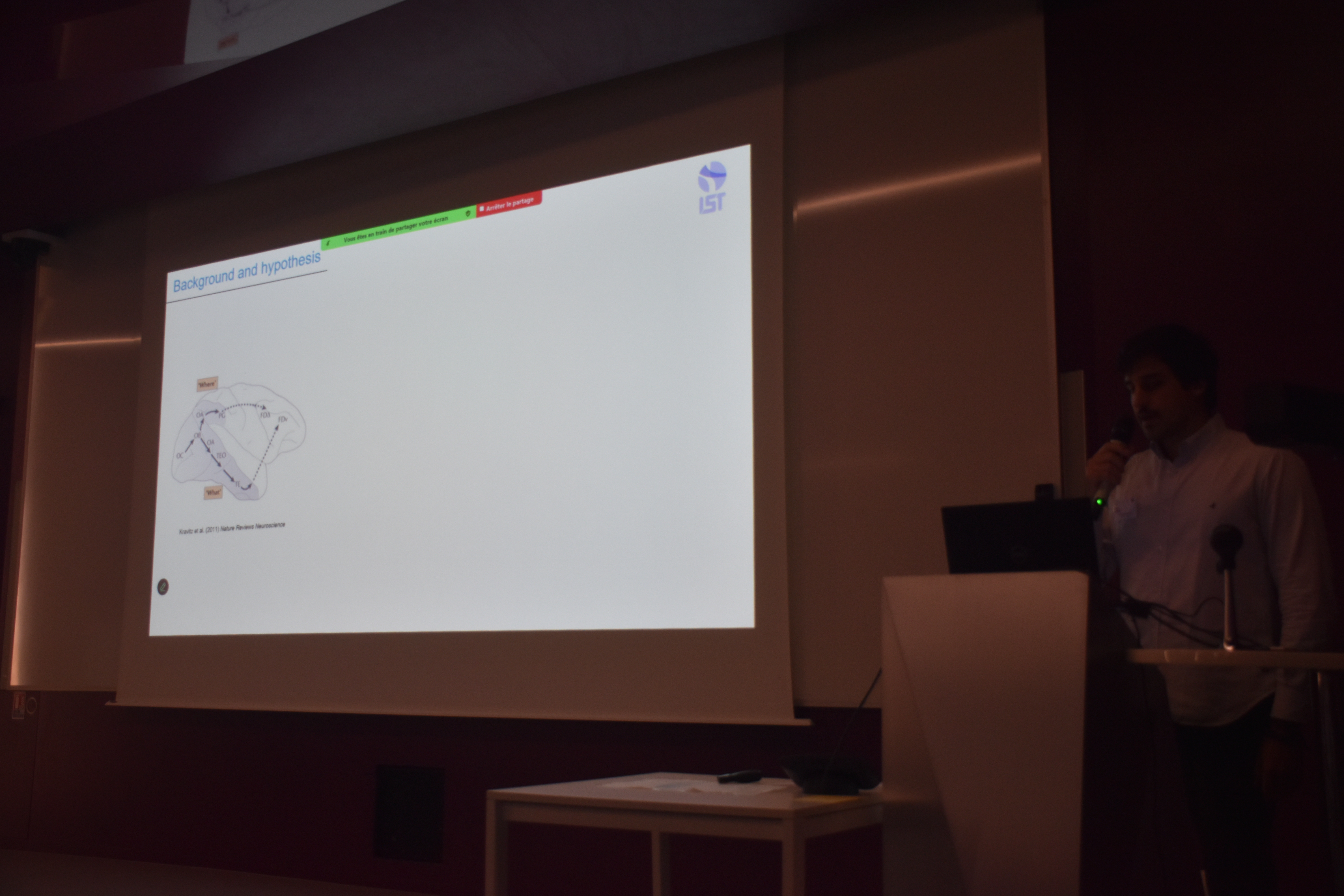 Surface-based Tractography uncovers 'What' and 'Where' Patwhays in Prefrontal Cortex